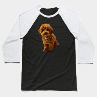 Ginger the Toy Poodle Baseball T-Shirt